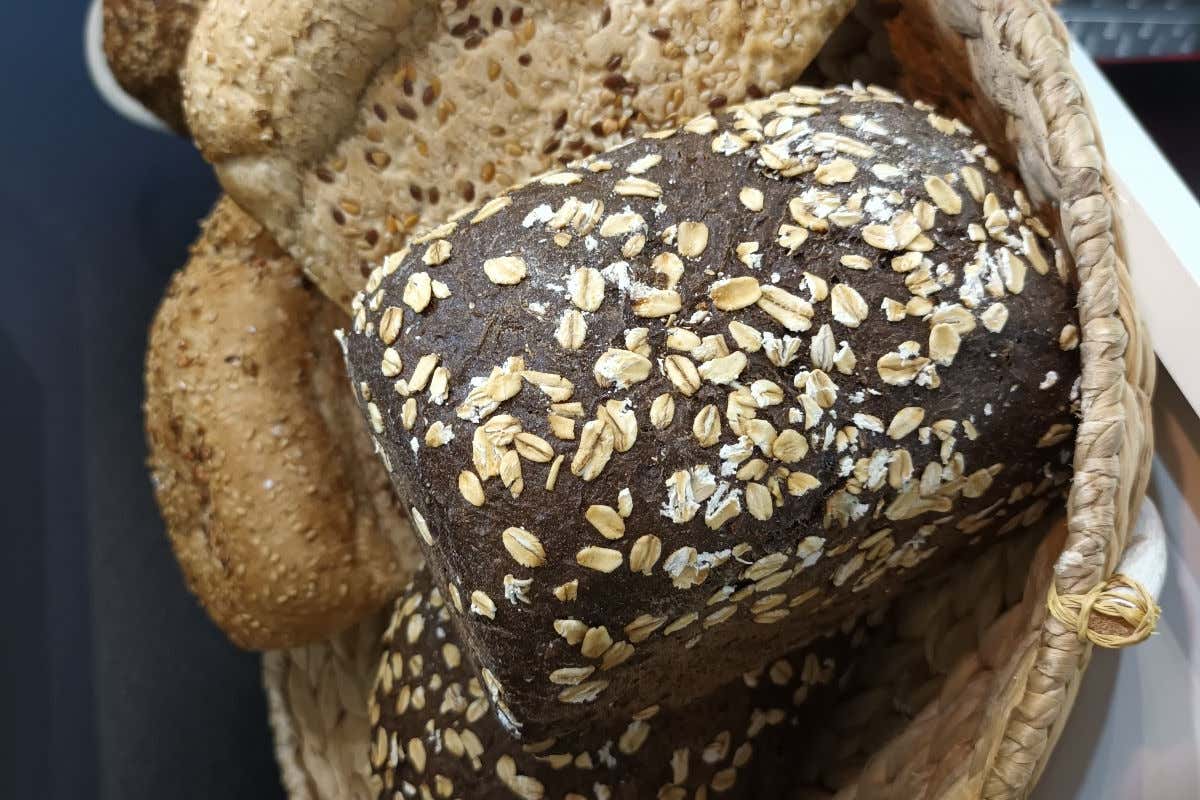 Il pane Malaga: dal Salone dell'accoglienza alla città sul filo della globalizzazione